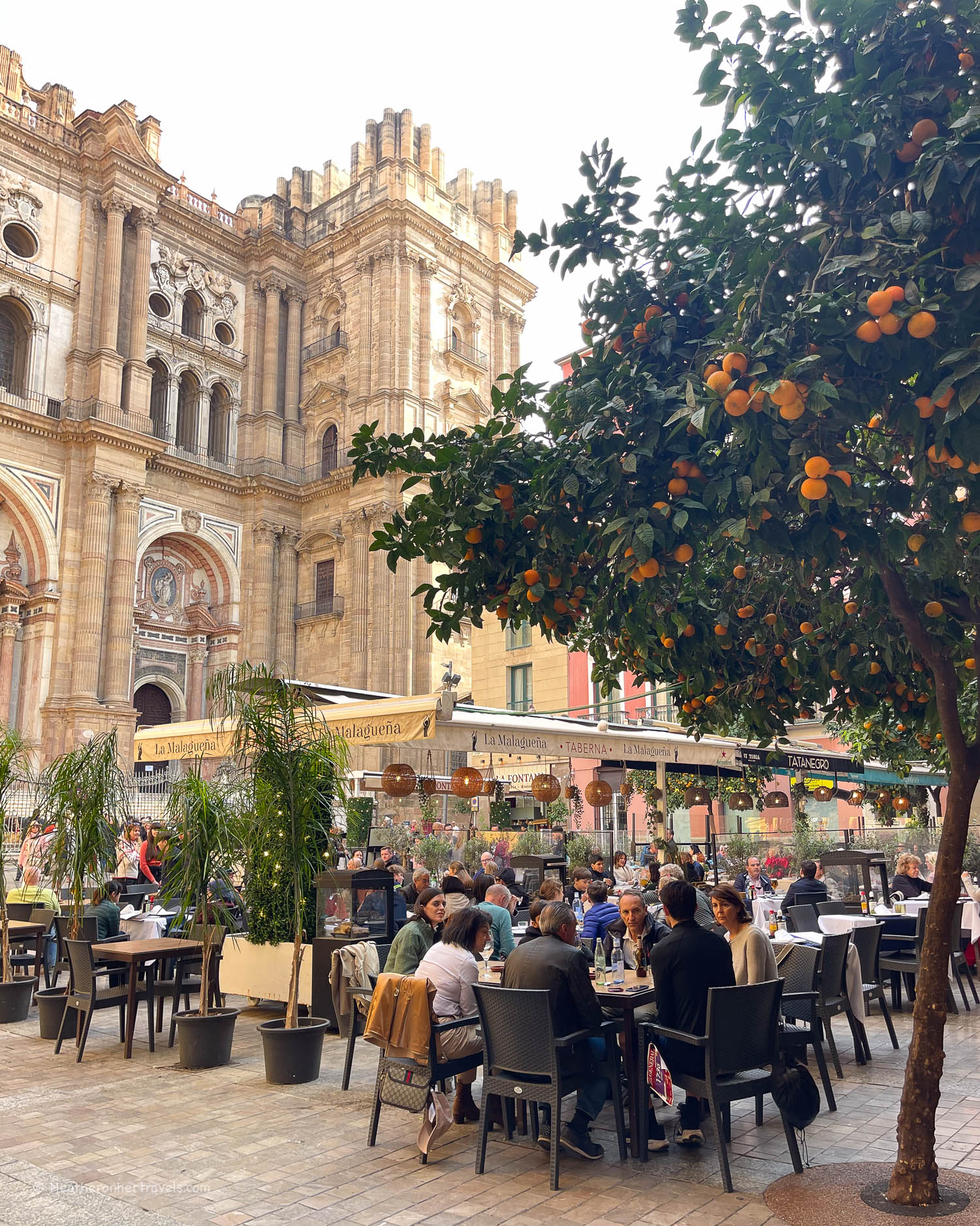 Al Fresco lunch in Malaga Spain &copy; Heatheronhertravels.com