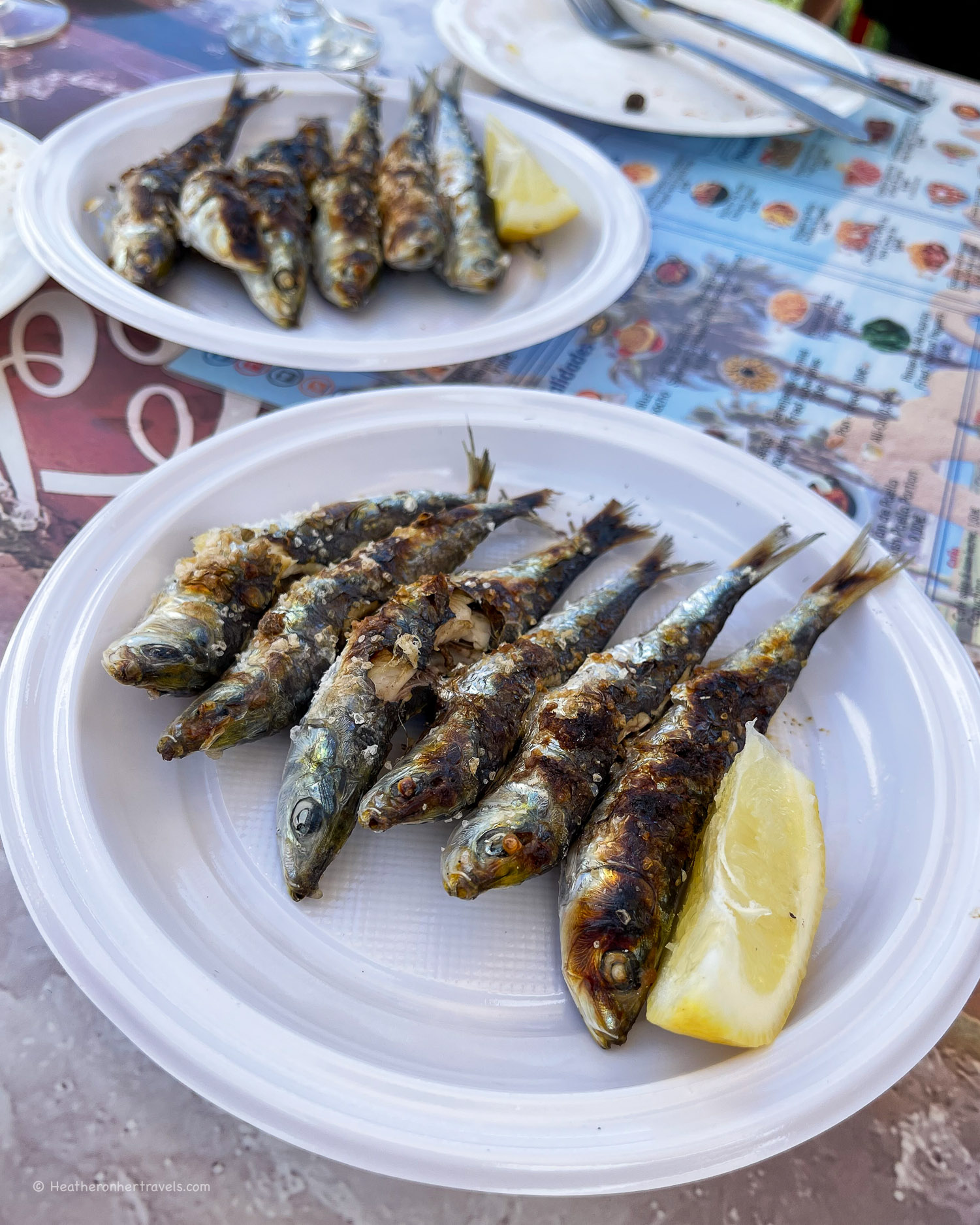 Sardines on Malaga beach Spain &copy; Heatheronhertravels.com