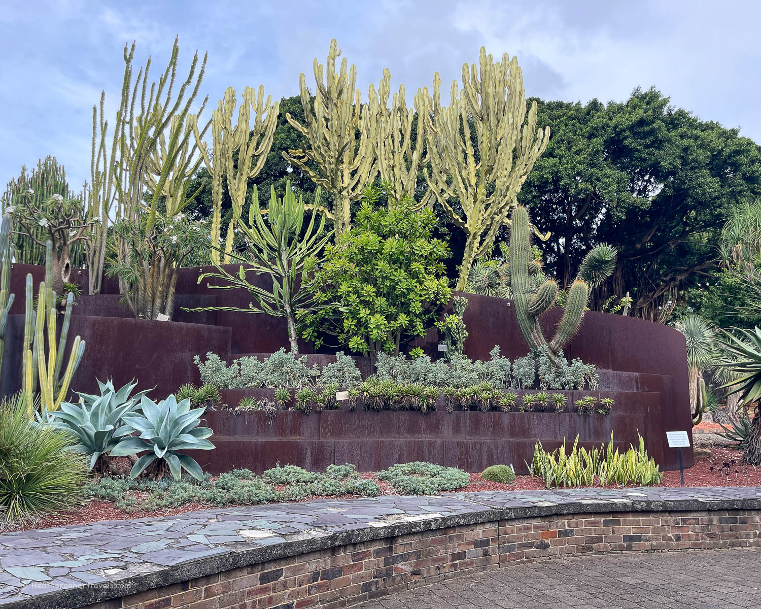 Succulant Garden, Botanic Garden Sydney Australia &copy; Heatheronhertravels.com