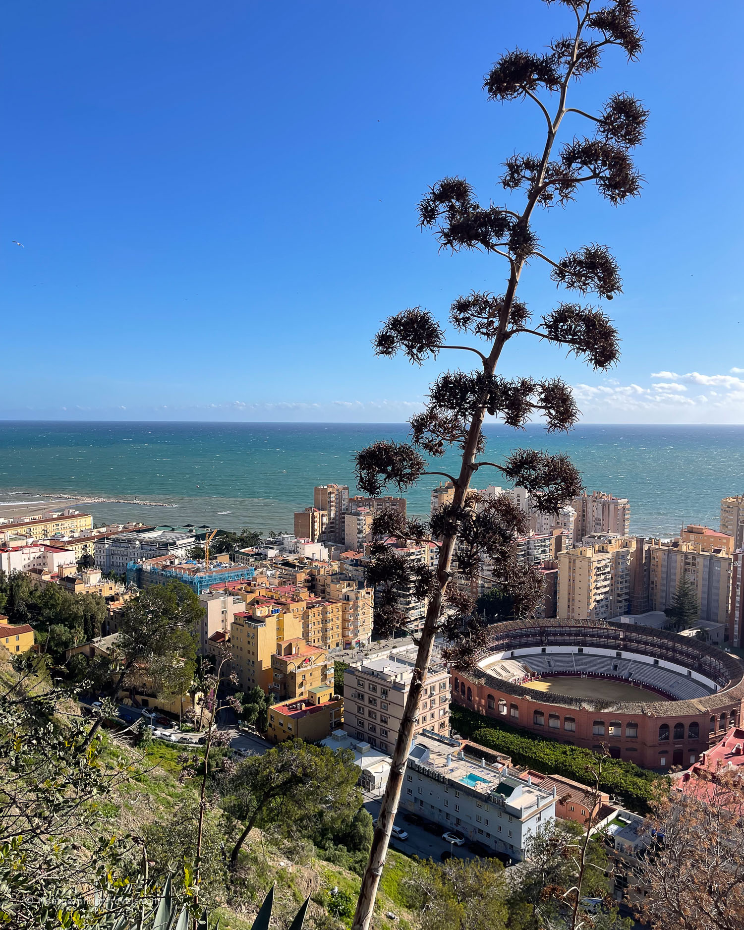 Views over Malaga Spain &copy; Heatheronhertravels.com