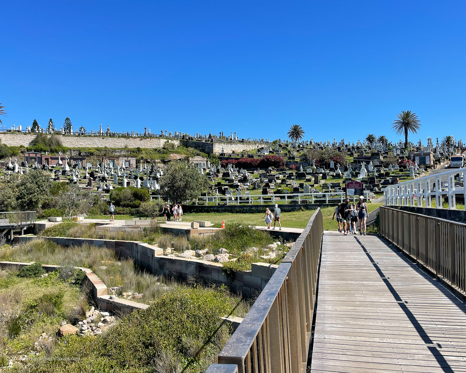 Waverley Cemetery - Bondi to Coogee walk Sydney &copy; Heatheronhertravels.com