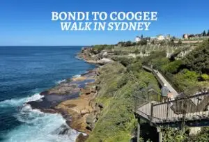 Bondi Coogee walk featured 588
