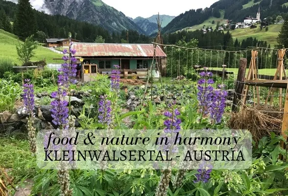 Narandi Permaculture, Kleinwalsertal, Vorarlberg, Austria